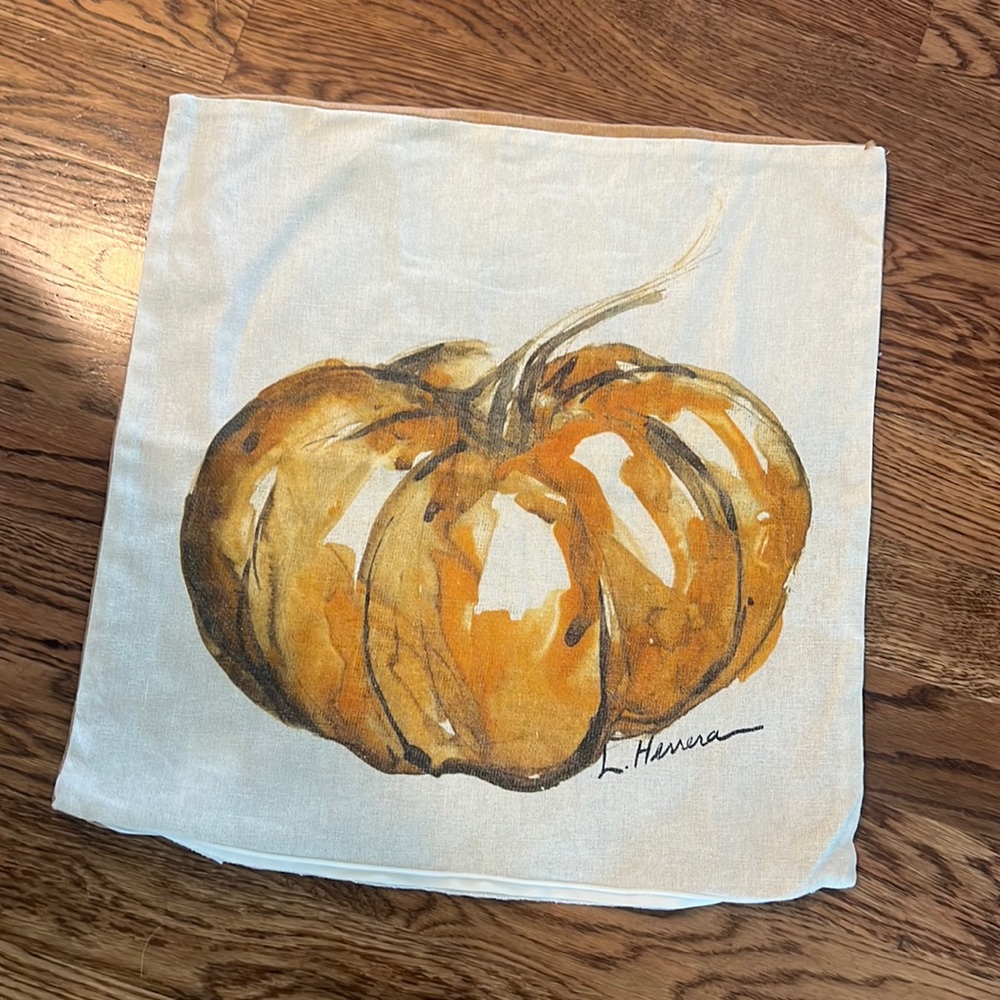 Pottery Barn Watercolor Pumpkin Pillow Cover